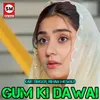 About Gum Ki Dawai Song